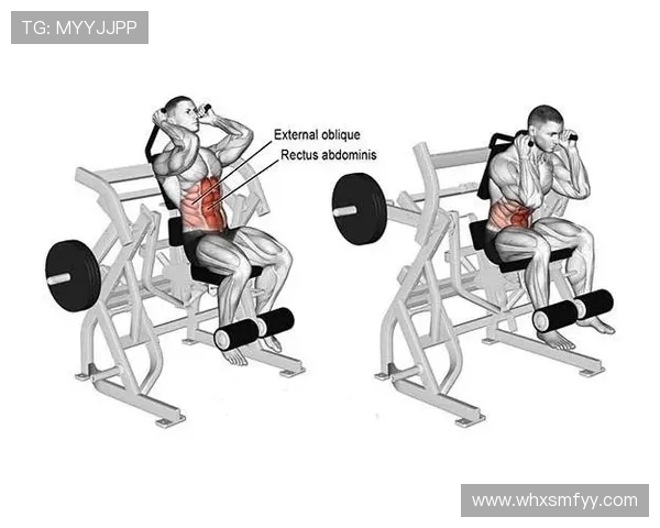 健身器材简单大全：初学者快速入门选购指南
