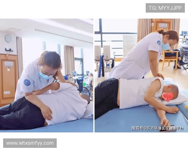 坐姿背部健身器材推荐与训练方法详解,守护脊柱健康的好帮手 坐姿背部健身器材推荐与训练方法详解,守护脊柱健康的好帮手