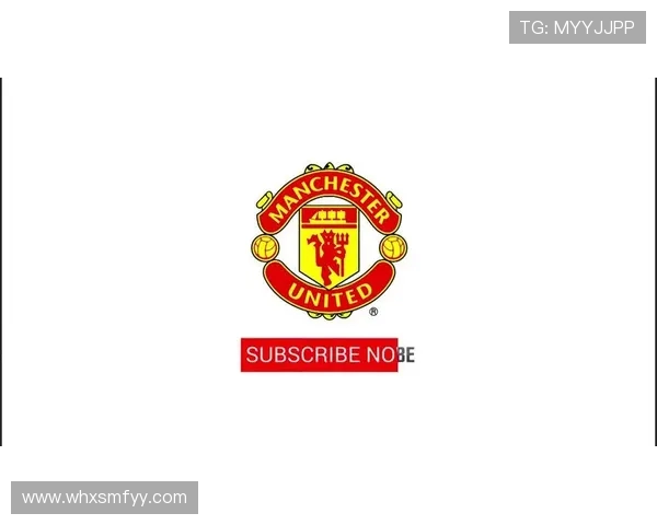 FM2016收录最全的英超球队队徽合集分享 FM2016收录最全的英超球队队徽合集分享