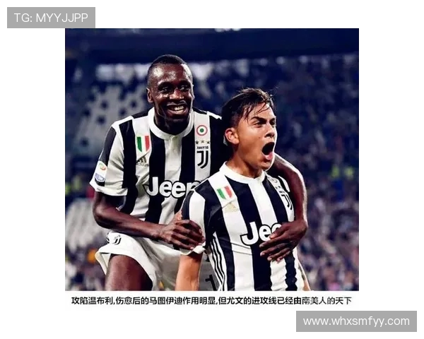 法甲外援综合统计图表：数据化解读外援群体表现