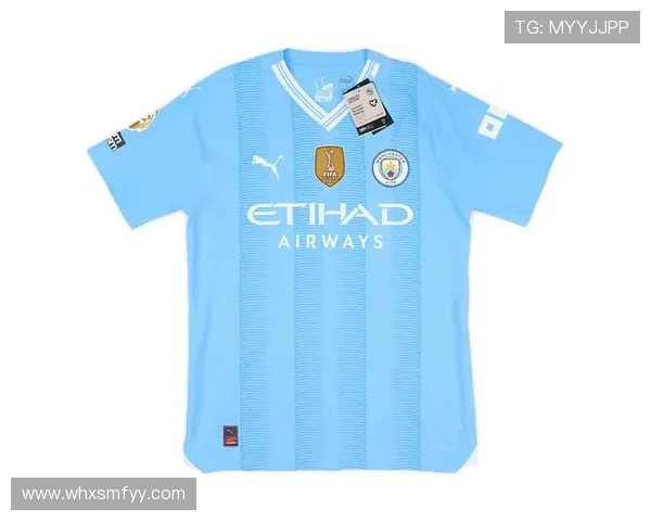 英超各俱乐部最新球衣销量排行及市场热度分析